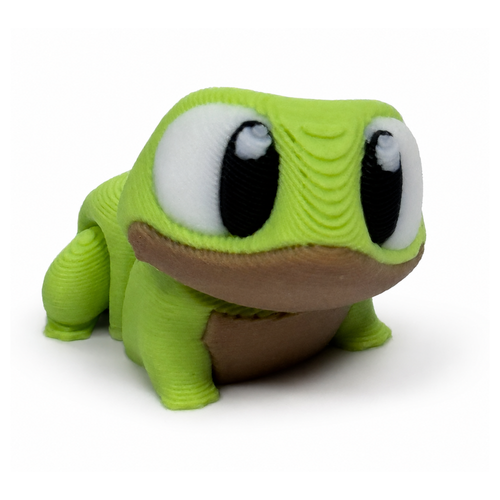 Frog Fidget Toy