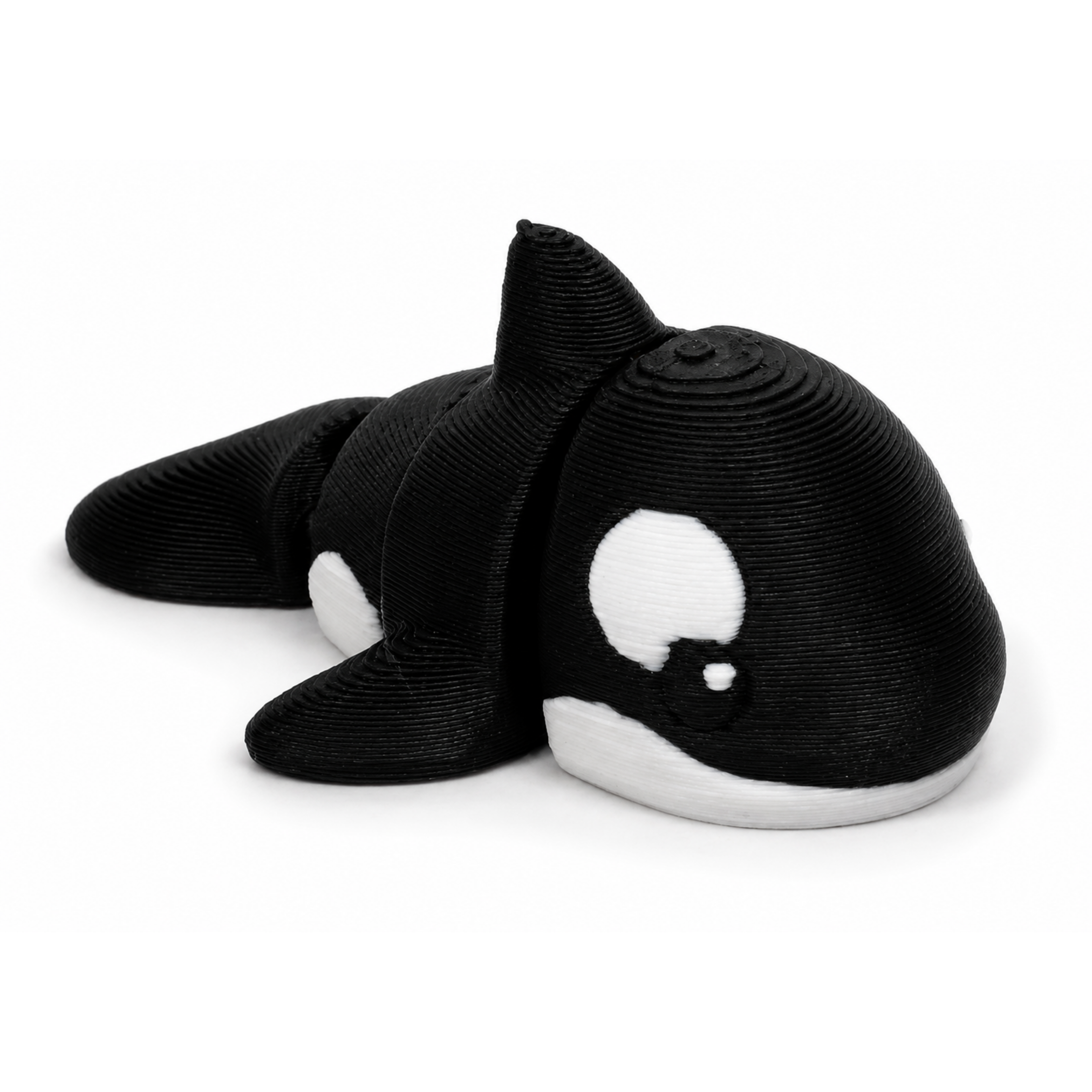 Killer Whale Fidget Toy