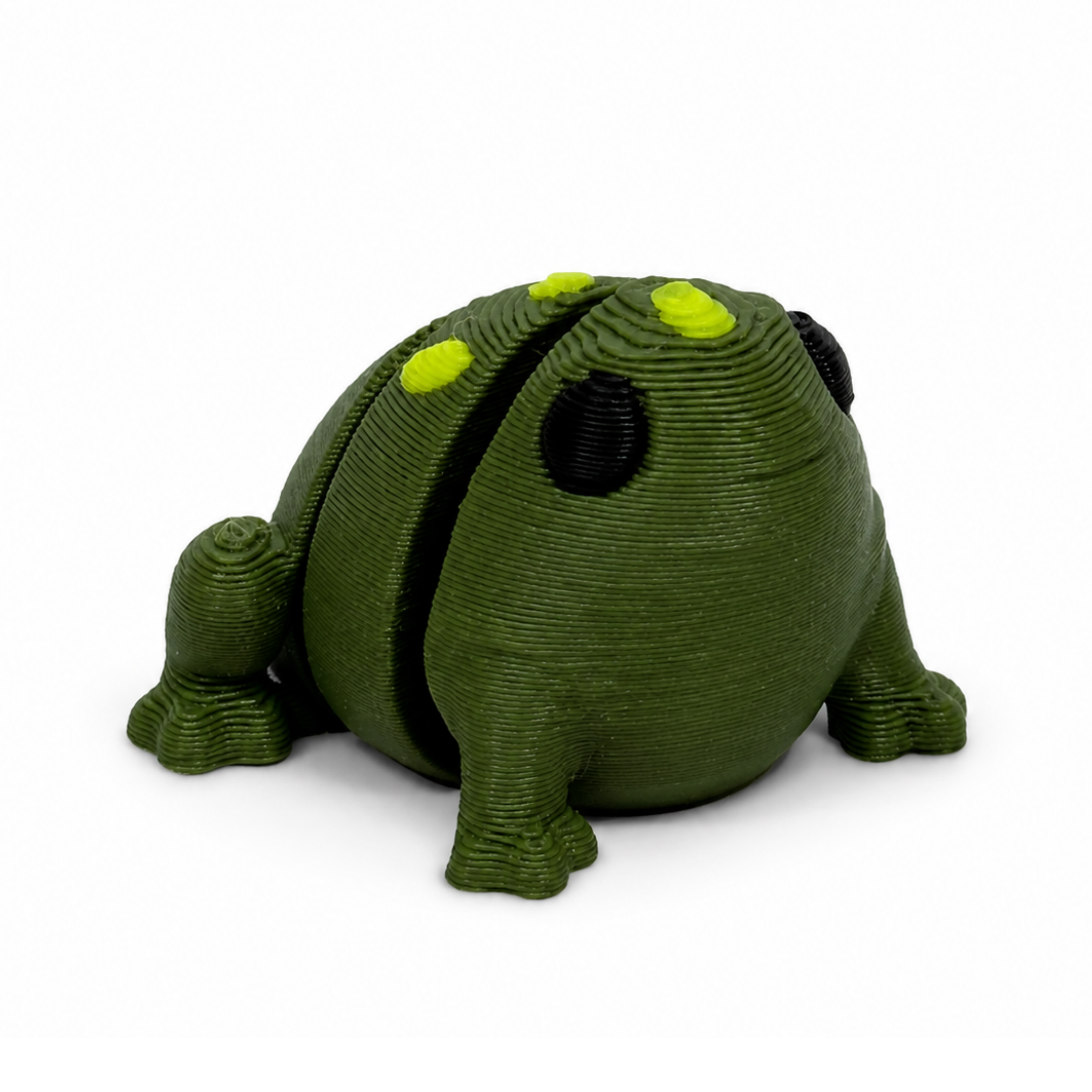 Toad Fidget Toy